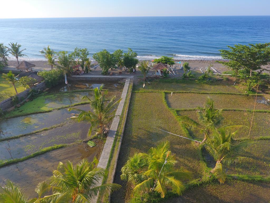 Taman Padi Villa Amed  Ngoại thất bức ảnh