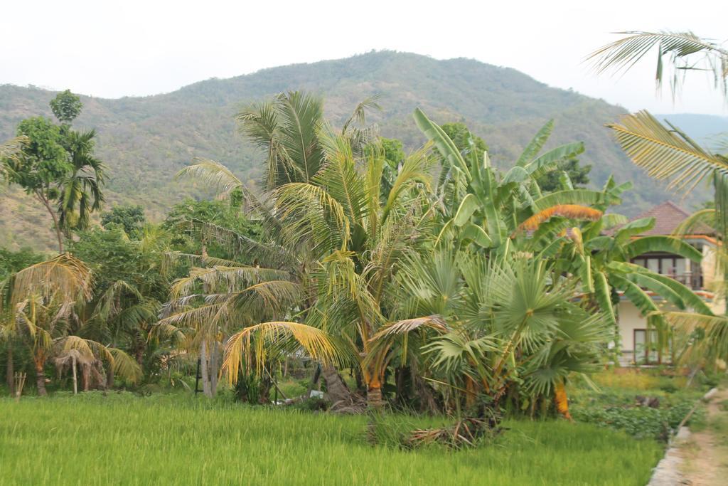 Taman Padi Villa Amed  Ngoại thất bức ảnh