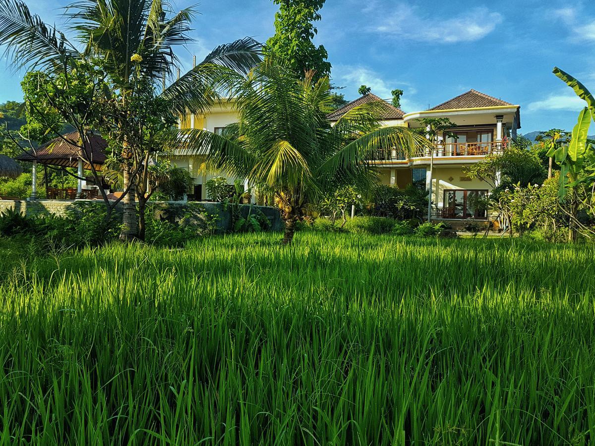 Taman Padi Villa Amed  Ngoại thất bức ảnh