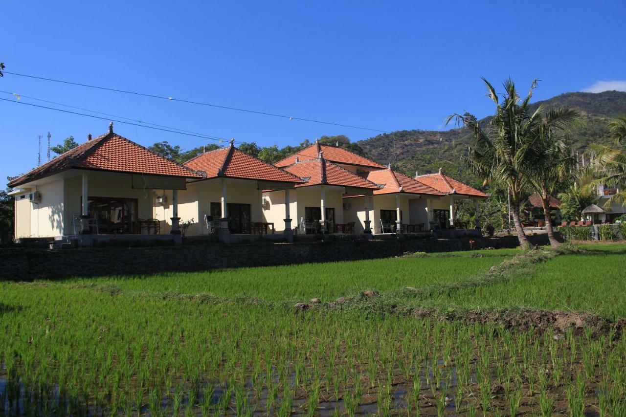 Taman Padi Villa Amed  Ngoại thất bức ảnh